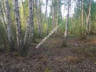 DZIAŁKA Z PLANEM ZAGOSPODAROWANIA - 4
