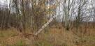 Działka z MPZP Terenia - 5