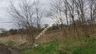 Okazja Działki Leszno k/Błonia - 2