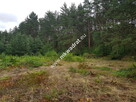 Okolice Grodziska Maz 1600m2 od mkwadrat.eu - 3