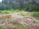 Okolice Grodziska Maz 1600m2 od mkwadrat.eu - 4