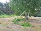 Okolice Grodziska Maz 1600m2 od mkwadrat.eu - 7