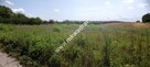 ⭐⭐⭐⭐ Okazja Działka 19000m2 z warunkami zabud!⭐⭐⭐⭐ - 3