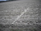 4 działki pod mini osiedle PASIKONIE / KAMPINOS - 6