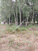 Działka, cicha, MPZP, Osowiec - 8