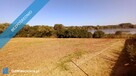 Piękna działka nad zalewem - 2