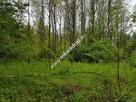 Korabiewice działka leśna - 4