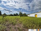 1,5 ha na produkcję, składy, magazyny+hala 1100 m2 - 2