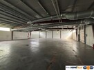 1,5 ha na produkcję, składy, magazyny+hala 1100 m2 - 8