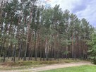 Działka siedliskowa - 8