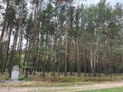 Działka siedliskowa - 12