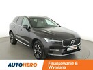 Volvo XC 60 FV23% Inscription Business T6 PHEV AWD skóra panorama hak navi grzane - 10