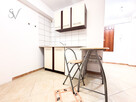 1800 ALL | Cat friendly | Przybyszewskiego | ENG - 2