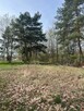 SPRZEDAM PIĘKNĄ DZIAŁKĘ 1500M2 W DRUGIEJ LINI ZABUDOWY - 3