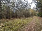 Kwiatkowiece Las- działka pod dom, cisza, las - 3