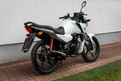 Honda CB 125 F 2021 POLIFT  Raty Wysyłka TRANSPORT Największy Wybór Moto - 3