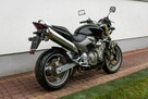 Honda Hornet CB 600 F 2007 Raty NAJWIĘKSZY WYBÓR MOTOI W PL Stan Kolekcjonerski - 3