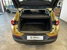 Opel Grandland X 1.2Turbo 130KM M6 2018/2019 r., salon PL, 115tys.km przebiegu - 14