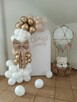 Ścianki balonowe od 250 zł-najtaniej w Rybniku - 6