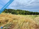 Duża działka 6000 m² w Demlinie – spokój, natura i szybki dojazd do miasta - 6