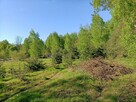 Siedlisko w cichej okolicy 100 km od Warszawy. - 13