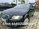 Audi A3 1,8 T 160KM ,klimatronik, isofix, biksenony,opony wielosezonowe,isofix - 1