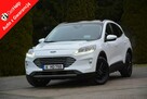 Ford Kuga FV23% RadarACC Head Up Navi Kamera Ledy Virtual Blis ParkAssist ASO - 1