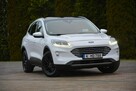 Ford Kuga FV23% RadarACC Head Up Navi Kamera Ledy Virtual Blis ParkAssist ASO - 9