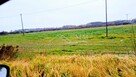 Duże działki rolne z potencjałem bud. po ok. 8000m - 2