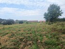 Nieruchomość gruntowa z zabudową - Wierzchowiska - 50% - 16