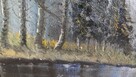 Obraz olejny - Las, rzeka, domek w lesie - 3