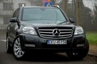 Mercedes GLK 220 Zarejestrowany 2.2CDI 170KM Serwis Skóra Bi-xenon Navi 2xParktronik - 12