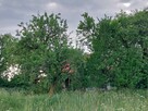 Nieruchomość z siedliskiem - 1