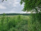 Nieruchomość z siedliskiem - 2