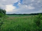 Nieruchomość z siedliskiem - 3