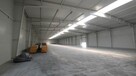 Hala magazynowa Pobiedziska 3650 m2 + BIUROWIEC - 3