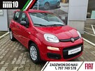 Fiat Panda 1,0 70KM - POP - 1