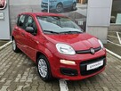 Fiat Panda 1,0 70KM - POP - 2
