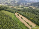 Działka rolna Zabrzeż gm. Łącko - 2