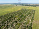Inwestycyjna rolna działka Łubowice obok Poznania - 8