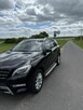 Sprzedam Mercedes ML 350 - 2