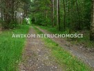Działka leśna Budy Chojnackie gm. Kowiesy