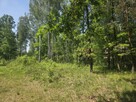 Działka budowlana Wiązowna - 6