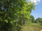 Działka budowlana Wiązowna - 13