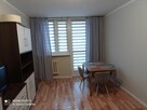 Kawalerka do wynajęcia w centrum miasta-1300 zł - 3