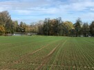3 działki budowlane – Stara Wieś k. Wilamowic – 140 zł/m² - 6