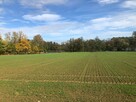 3 działki budowlane – Stara Wieś k. Wilamowic – 140 zł/m² - 4