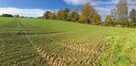 3 działki budowlane – Stara Wieś k. Wilamowic – 140 zł/m² - 7