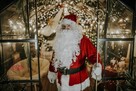Święty Mikołaj do Wynajęcia. Wynajem Świętego Mikołaja - 10