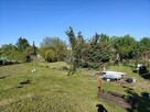 Ogródek działkowy Leszno ROD ul Spółdzielcza - 9